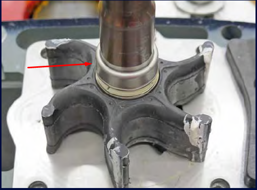 Removing Water Pump Anti Knock Spring Retainer Sim Yamaha Blog