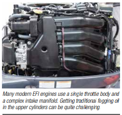 Engine image showing EFI components and structure.